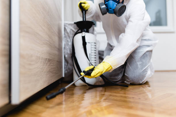 Best Cockroach Control Services  in St City, AR
