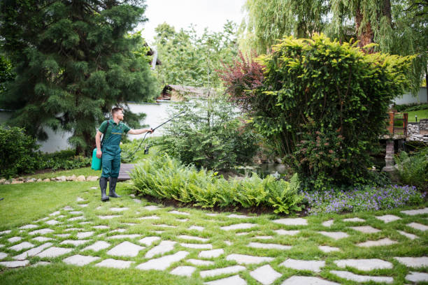 Best Mosquito Control Services  in St City, AR