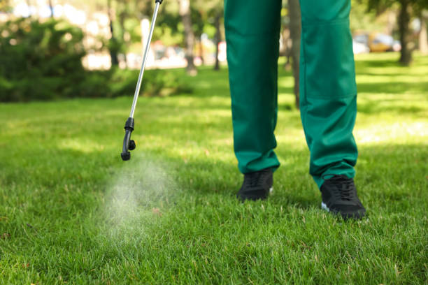Best Termite Control Services  in St City, AR