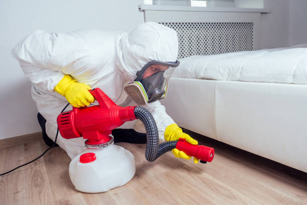 Best Local Pest Control Services  in St City, AR